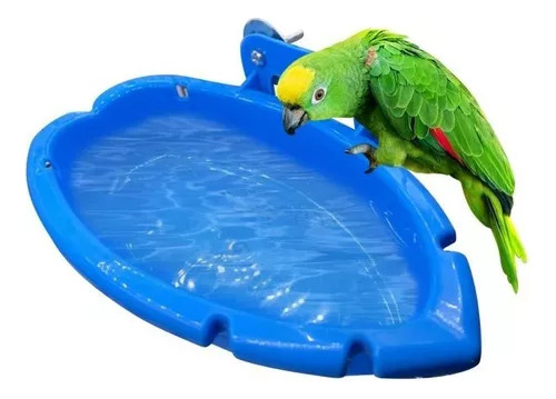 Bañera Con Múltiples Pájaros Y Divertidas Cockatiels Rx