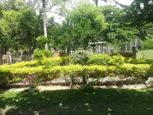 Finca Ganadera Con Nacimiento De Agua Propio