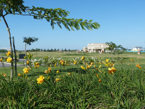 Barrio San Matias Casas en Venta