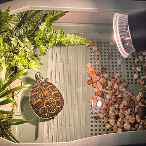 Lámparas De Calor Para Tortuga Reptiles 2 Bombillas Uva+uvb