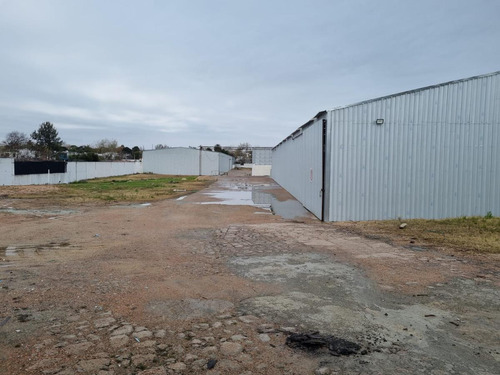 Imagen 3 de 16 de Depósito - Centro Logístico, Ruta 67 Próximo Ruta 5,las Piedras, 1250 M2 , Altura 7 Mts, Nuevo , Vig 24 Hs !!