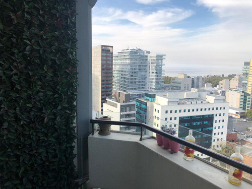Imagen 2 de 22 de Departamento - Olivos-vias/maipu