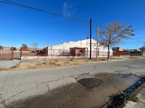 Re/max Vende Galpón En Allen.