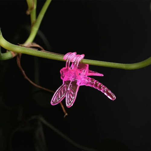 Clips De Soporte Para Plantas De Jardín, 30 Uds., Clips De
