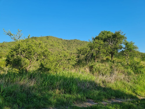 Lote De Ensueño En Los Milagros, El Mejor Barrio Privado De Santa Rosa De Calamuchita