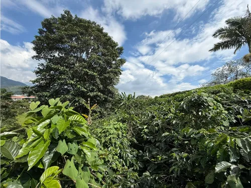Se Vende Lote Vereda San Juan De Carolina
