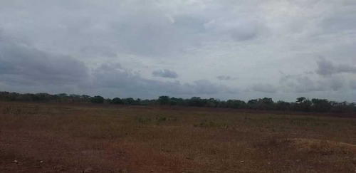 Imagen 9 de 26 de Finca En Venta ,calabozo Guarda Tinajas