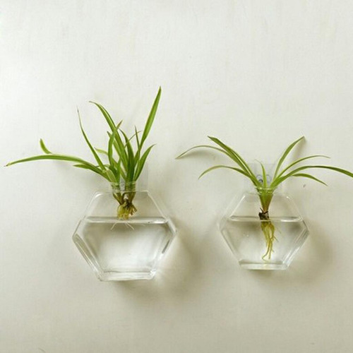 Maceta De Planta De Agua Hexágono 17cm