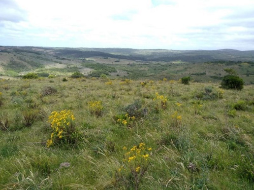 Campo En Venta