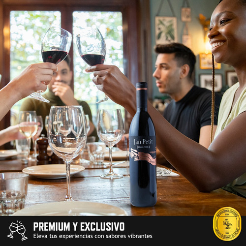Vino Tinto Español Jan Petit 750ml Clos Pons Pack X6