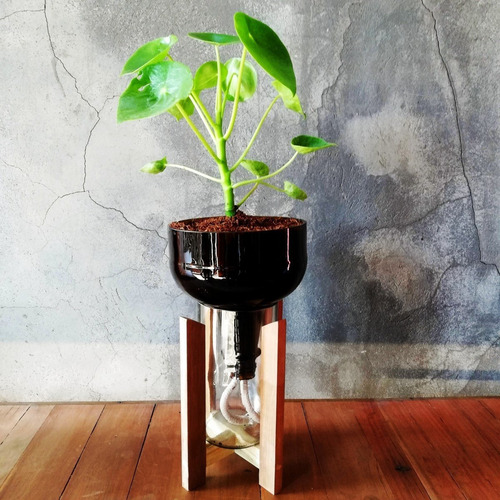 Imagen 2 de 10 de Cuchara Little Plant 27 Con Soporte, Maceta Autorregante