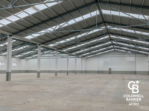 Bodega En Venta, San Martín Texmelucan, Puebla