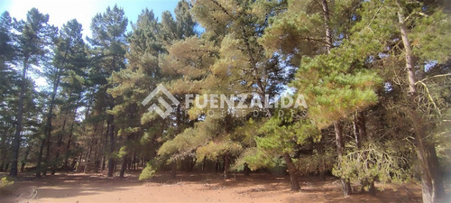 Casa 180 M2 - Terreno 11.200 M2 - Los Pinares De Algarrobo