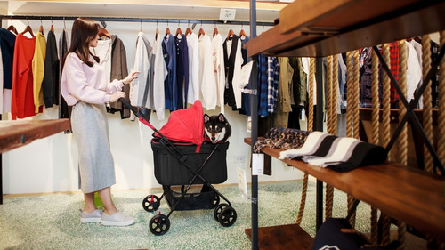 Imagen 7 de 9 de Coche Mascota Paseo Ibiyaya Easy Strolling Buggy Rouge 20 Kg
