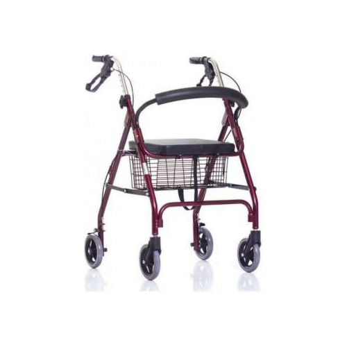 Andador Ortopedico Rollator