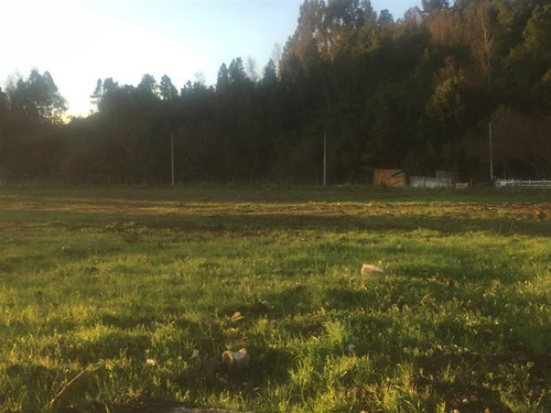 Terreno Construccion En Venta En Valdivia