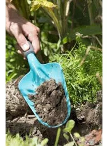 Primera imagen para búsqueda de palita jardineria