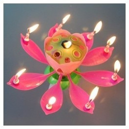 Velas Magicas Musicales