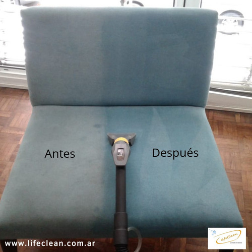 Imagen 5 de 5 de Limpieza/desinfección De Alfombras/sillones, Tapizados.