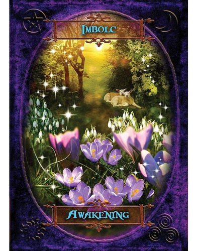 Cartas Oráculo Witches Wisdom Inglés. 48 Cartas