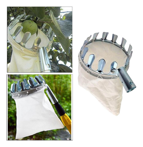 Imagen 6 de 8 de Cesta Recogedora De Frutas Herramienta Diámetro 16cm