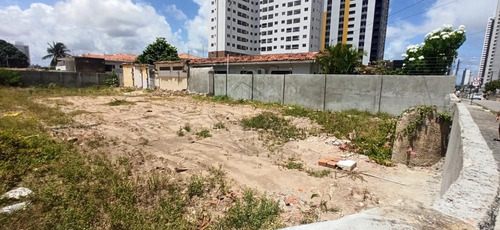 Imagem 3 de 6 de Terrenos - Ref: V2116