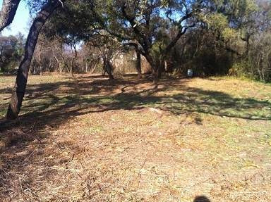 Imagen 15 de 16 de Terreno En Venta