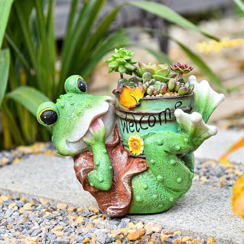 Maceta Para Suculenta Con Estatua De Rana Adorno Jardín