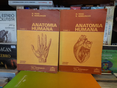 Anatomía Humana Tomos 1  Y 2  Voss  - Herrlinger 3ra Edición