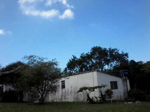 Imagem 6 de 15 de Chácara Em Santo André - Mv5352