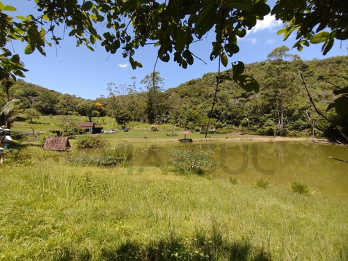 Imagem 26 de 30 de Belíssimo Sítio, Com Excelente Topografia E Rico Em Água - 52 - 70636338