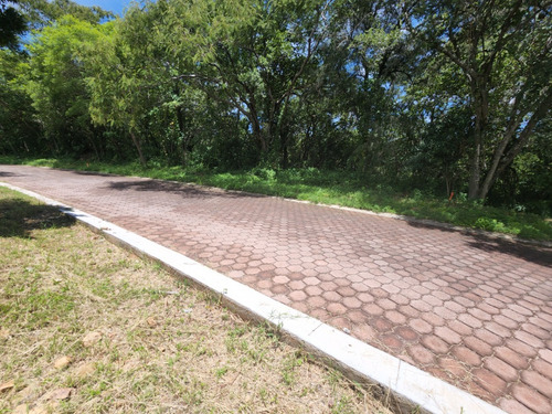 Venta De Lote San Diego 53 Mz Xvi Muy Cerca Del Acceso Y Sobre Av Principal Con Bonita Vista En Fracc Rancho San Diego Ixtapan De La Sal Edomex
