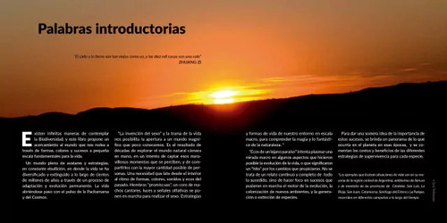 Invencion Del Sexo Y La Evolucion De La Vida, De Volkmann Luis Rafael., Vol. Unico. Editorial Ecoval, Tapa Blanda, Edición Primera En Español, 2023
