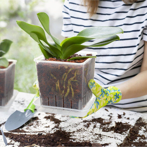 Jk Maceta For Orquídeas, Paquete De 5 Macetas De 5 Pulgadas