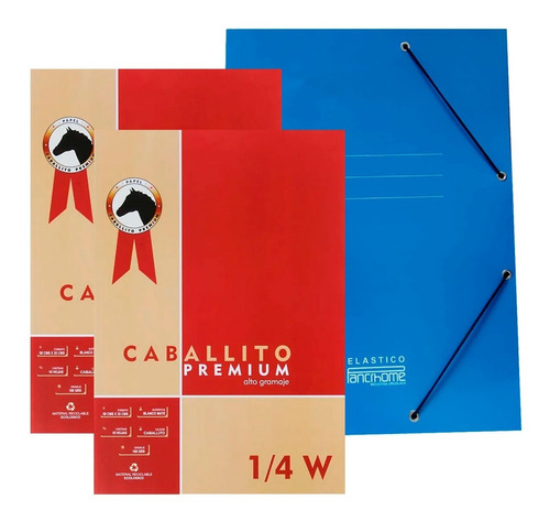 Block Caballito Premium Unidad 1/4w 50x35cm 180grs Hojas