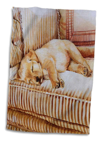 3d Rose Cachorro De Labrador Amarillo Durmiendo Al Sol En Un