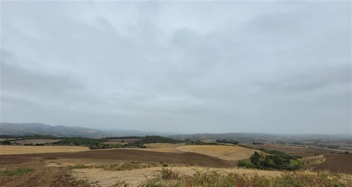 Imagen 13 de 13 de Agrícola En Venta En Galvarino