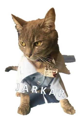 Camisa Formal Para Gato