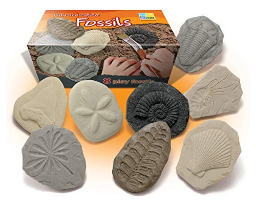 Yellow Door Lets Investigate Fossils For Kids; Science Kit,