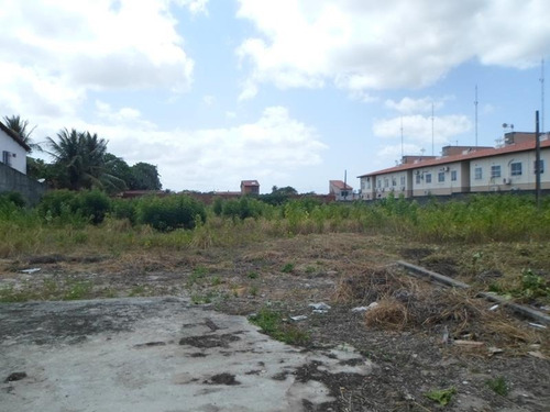 Terreno Para Alugar Na Cidade De Fortaleza-ce - L12181