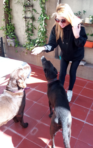 Guarderia Y Pensionado,perros,gatos Y Conejos