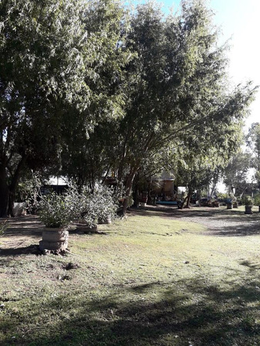 Imagen 3 de 9 de Quinta - Villa Paranacito