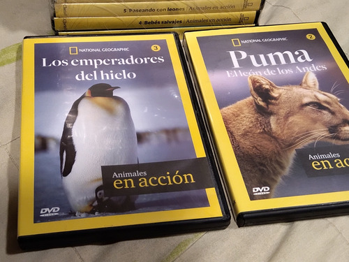 Colección Completa  Animales En Acción  Dvd National Geograf