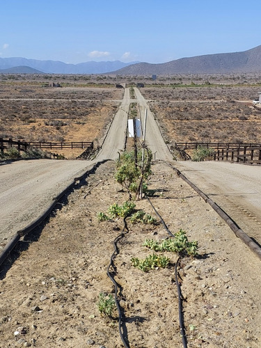 Terreno En La Playa Morrillos, Urbanizado, Seguridad