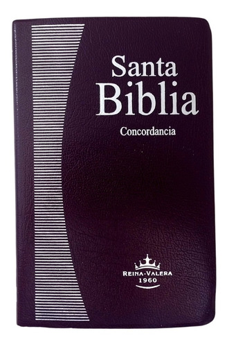 Biblia Rvr60 Tapa Semi Rigida Color Lila Con Concordancia