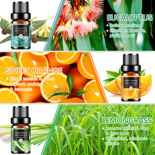 Aeshory Kit De 6 Aceites Esenciales Para Difusor Y Aromaterapia Y Spa 10 Ml - Lavanda, Árbol De Té, Eucalipto, Naranja Dulce, Menta, Limoncillo.these Aromatherapy Oils Perfect For Diy Scented Candles