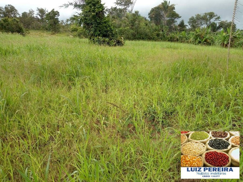 Imagem 10 de 15 de Fazenda À Venda No Vale Do Araguaia - To - De 22 Alqueirões (dupla Aptidão) - 1651