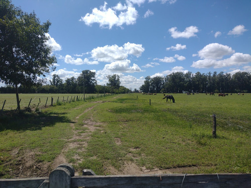 Campo En Venta Sobre Ruta 6, Marcos Paz