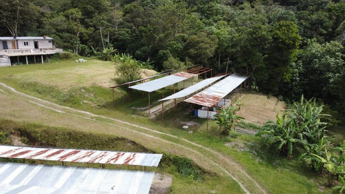 Imagen 20 de 22 de N.m. Finca En Venta En Capacho