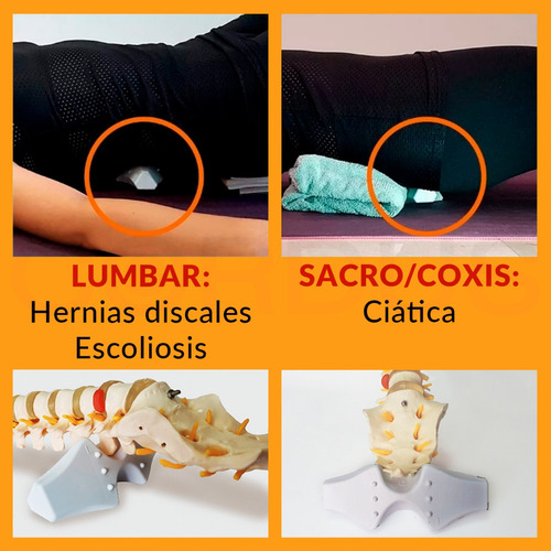 Cordus Dolor Ciático Hernias Escoliosis Lumbalgia Postura